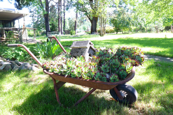 General Wheel Barrel